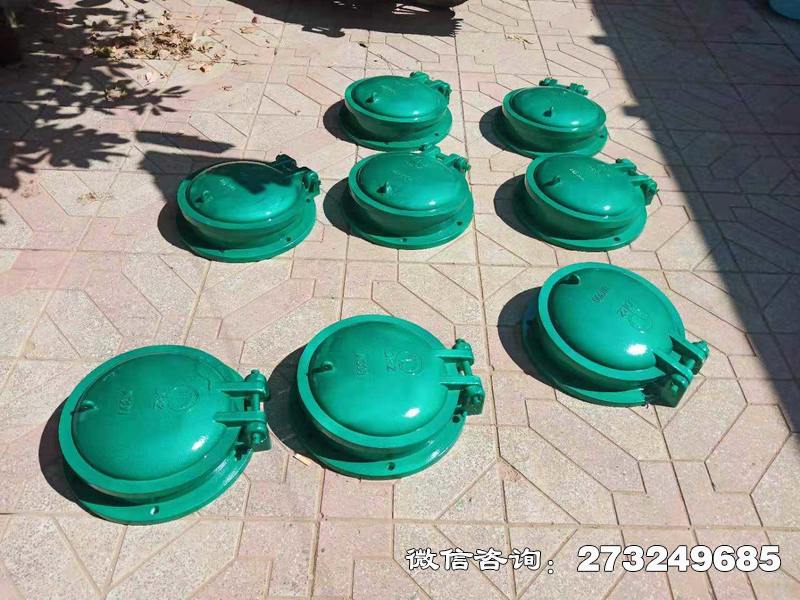 田东县玻璃钢止水拍门