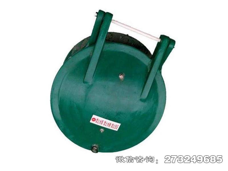 大渡口管道口玻璃钢拍门