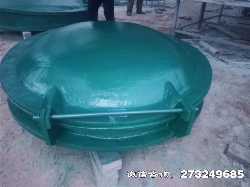 大渡口轻质玻璃钢拍门