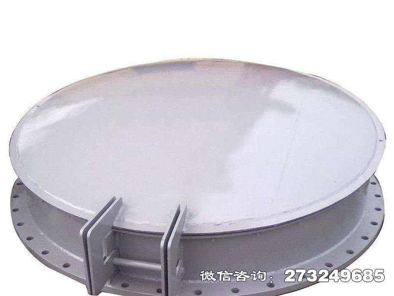 凤阳县铸铁钢制拍门